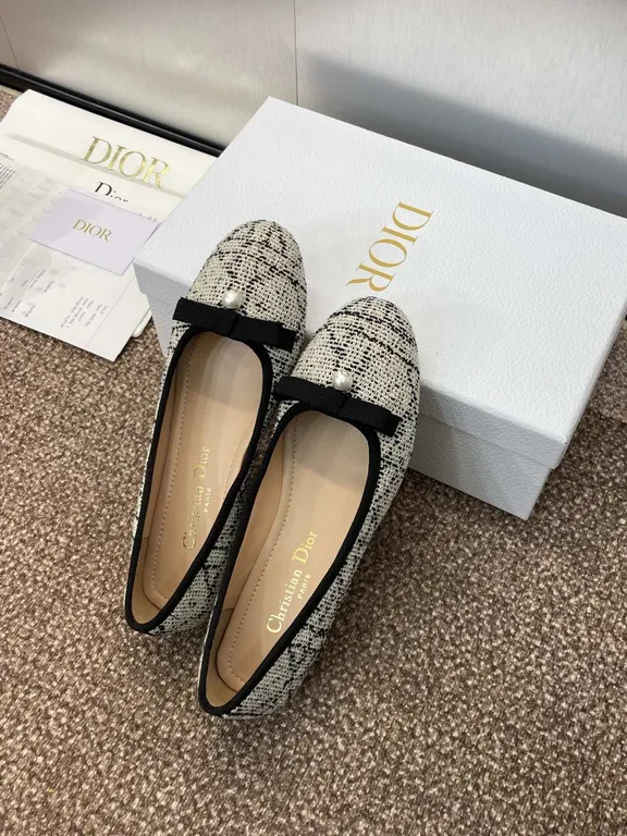 Dior Shoe 